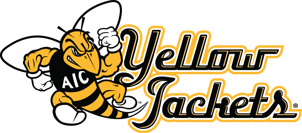 aic yellow jackets 2009-pres alternate logo v7 iron on transfers for T-shirts